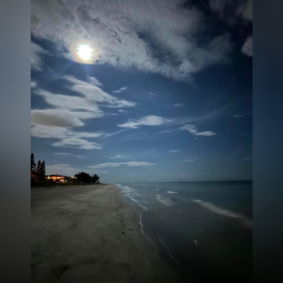 Hell no we won’t go! HELL NO WE WON’T GO!! - Picture 11 of 14